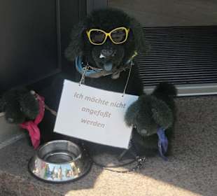 Altstadt Bad Bergzabern