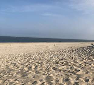 Strand Hollum/Ameland