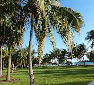 Park neben dem Parkplatz