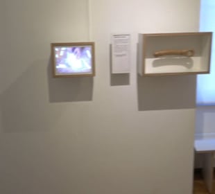 Archäologisches Museum