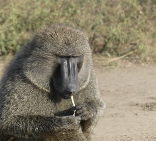 Mal kurz eine rauchen