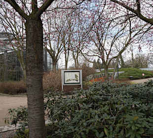 Anlage Planten un Blomen