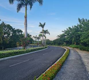 Stadtrundfahrt Bavaro