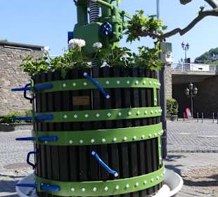 Mitten auf dem Platz