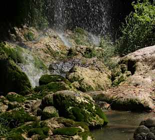 Hidden Paradise Wasserfall/ Gizli Cennet