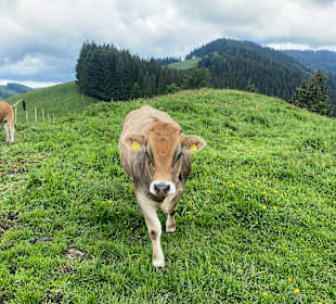 Wandern Fladnitz an der Teichalm
