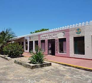 Gar nicht so schwer zu finden