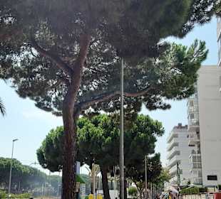 Stadtrundgang Malgrat de Mar