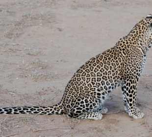 Eindrücke aus der Wildnis