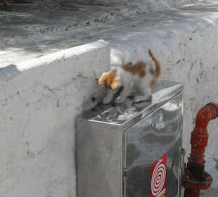 Schnappschuss in der Altstadt