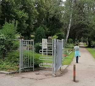 Hauptfriedhof Ulm