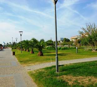 Inspirationen an d.Strandprom.entlang Nov.2010