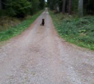 Wandern Unterkirnach
