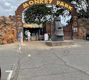 Monkey Park