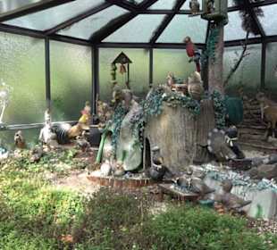 Erlebnispark Tripsdrill