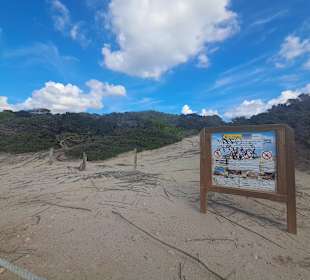 Platja de Ses Salines in Sant Josep de Sa Talaia
