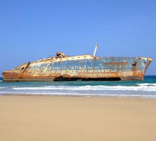 Gestrandete American Star