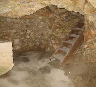 Monografisches Museum und Punische Nekropole von P