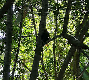 Tour mit “Lucky“