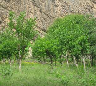 Sentyab
