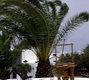 Casa Museo del Campesino