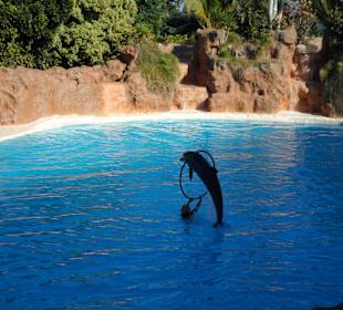 Loro Parque 