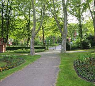 Licht und Schatten im Kurpark