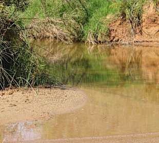 Eindrücke im Palo Duro Canyon