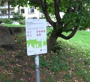 Denkmal für Johann Georg Fischer 