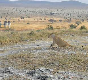 Geführte Touren Marco Polo Tours & Safaris Diani Beach