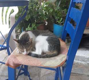 Griechische Idylle