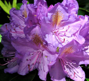 Spaziergang durch die Graftanlagen