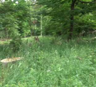 Premiumwanderweg "hochgehackert"