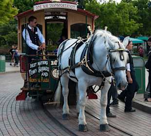 Romantisch statt wild