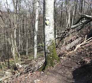 Wanderweg Hochgehkämpft