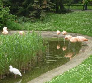 Zoo Warszawa