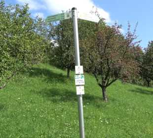 Hochgehnießen - Premiumspazierwanderweg