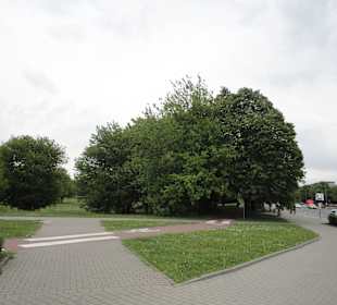 Park