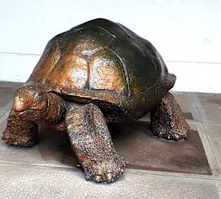 Stadtrundgang Victoria