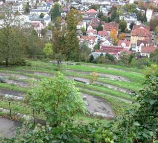 Aussichtspunkt an der Veitsburg