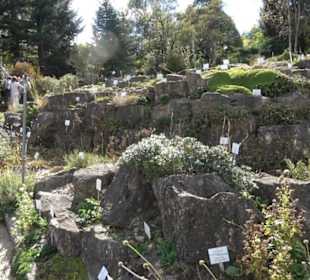 Alpinum