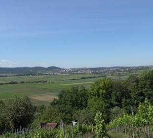 Früchtetrauf - Wurmlinger Kapellenwegle