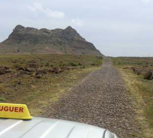 Weg in den Süden
