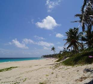 Nicht weit vom Hotel Luxury Bahía Príncipe Ámbar Don Pablo C