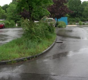 Wandern rund um den Stadtsee