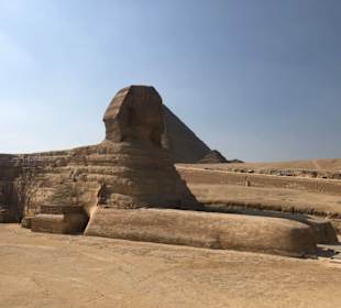 Die Sphinx von Gizeh