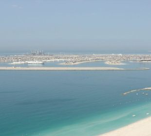 Blick auf Palme vom Oasis Beach Tower