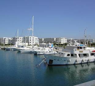 Yachtfen mit diversen Booten