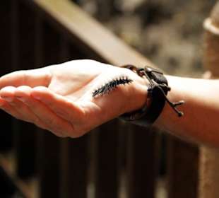 Einen kleinen Freund entdeckt