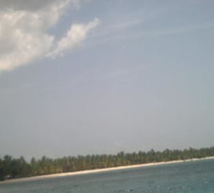 Saona